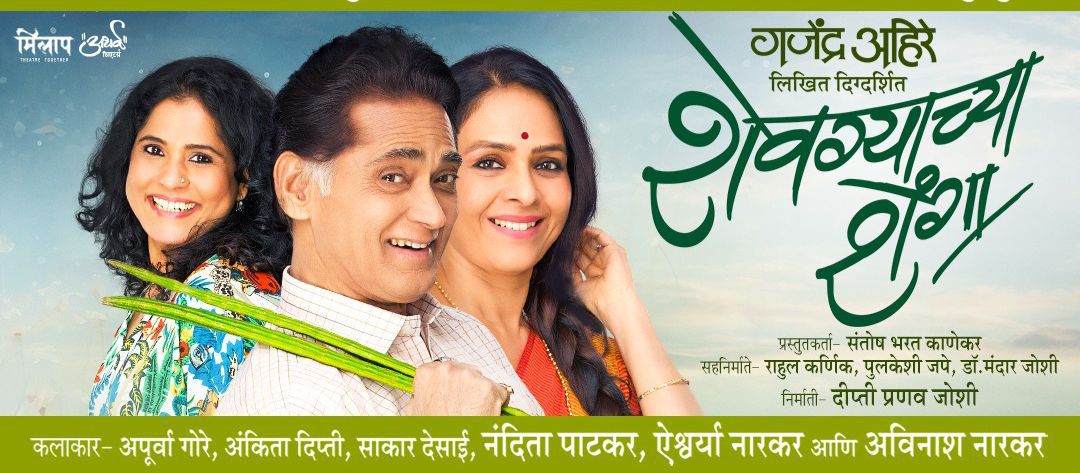 शेवग्याच्या शेंगा